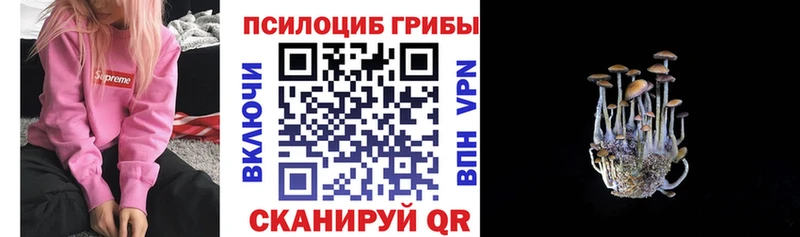 МЕГА онион  Камешково  Псилоцибиновые грибы мухоморы 